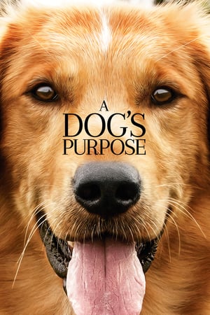 A Dog's Purpose | Watch Movies Online