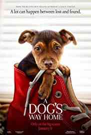 A Dog's Way Home | Watch Movies Online