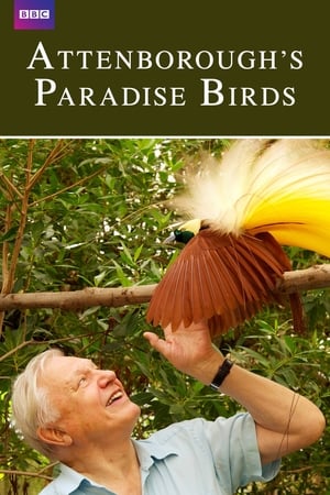 Attenborough's Paradise Birds | Watch Movies Online